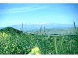 Mt Hermon - from Damascus road